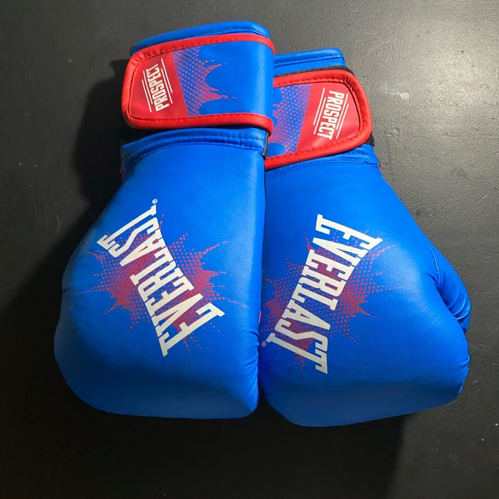Everlast Blue Boxing Gloves